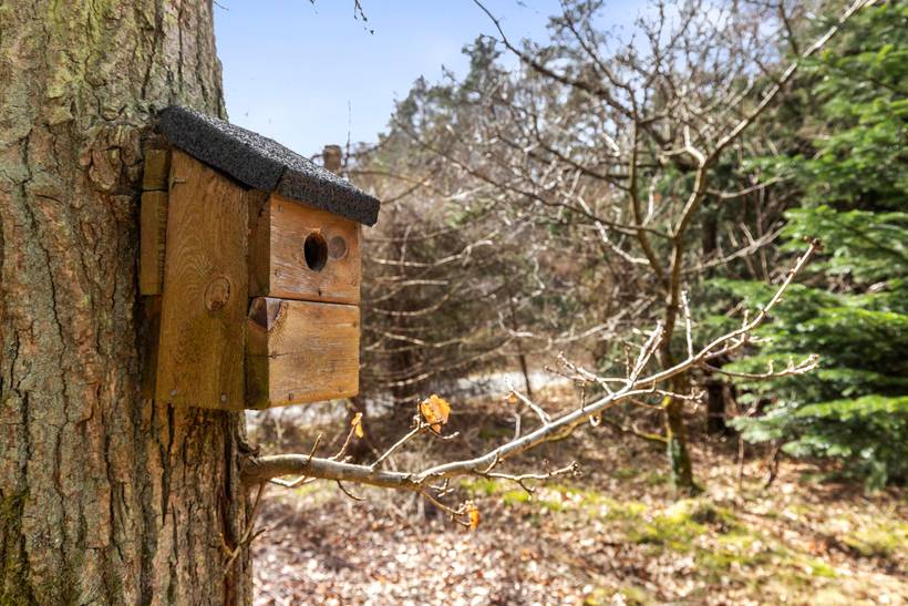 Foto von Ferienhaus OL92 in Fuglslev - Ebeltoft - Ostjütland