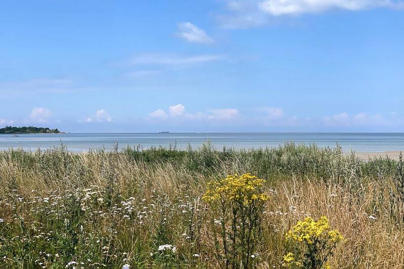 Foto von Ferienhaus OM12 in Dalby Bugt - Kerteminde - Nordfünen