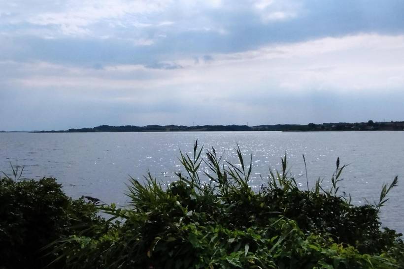 Foto von Ferienhaus OM29 auf Mors - Thy/Limfjord
