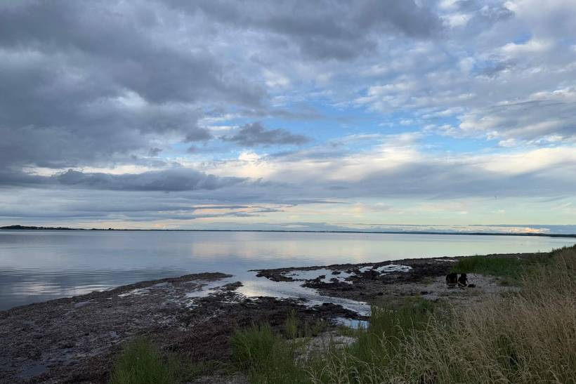 Foto von Ferienhaus OO05 in Klitgårds Fiskerleje - Thy/Limfjord