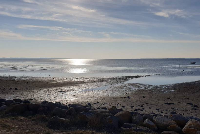 Foto von Ferienhaus OO05 in Klitgårds Fiskerleje - Thy/Limfjord