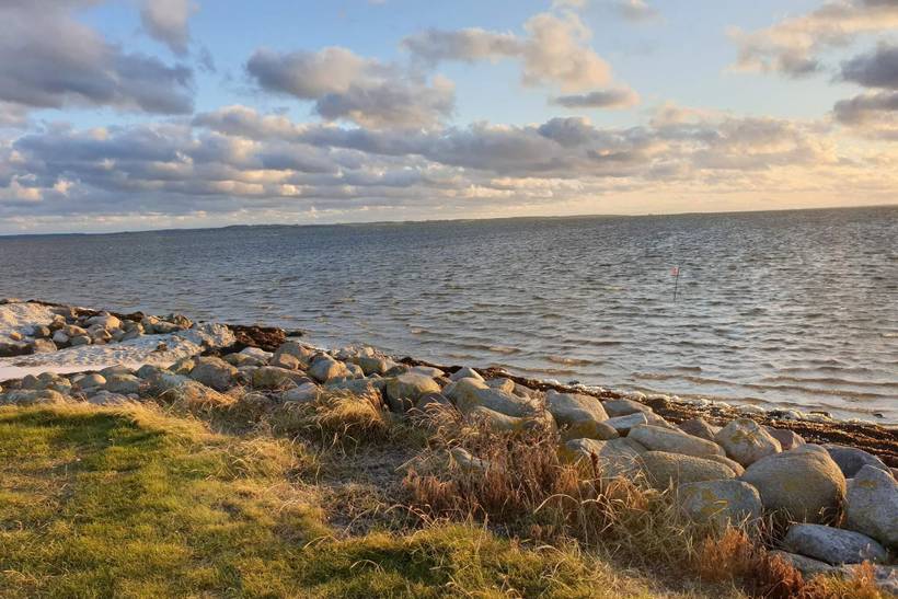 Foto von Ferienhaus OO05 in Klitgårds Fiskerleje - Thy/Limfjord