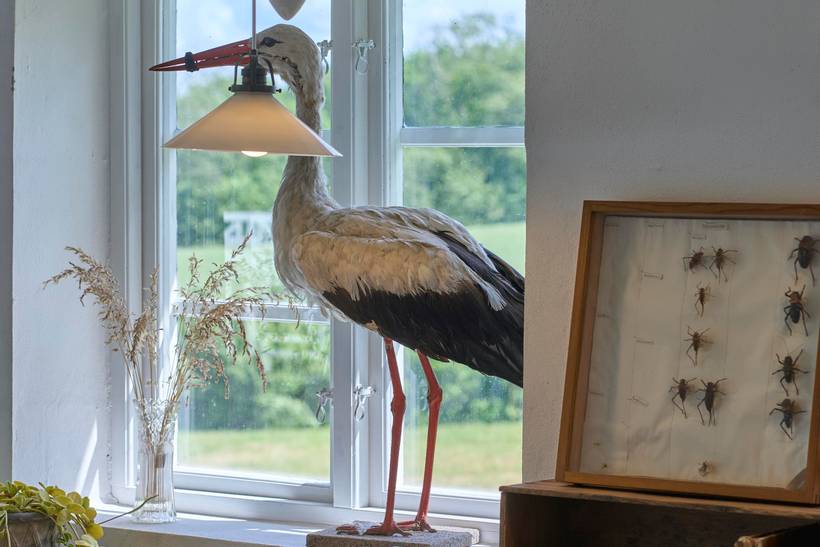 Foto von Ferienhaus OO14 auf Gudhjem - Bornholm