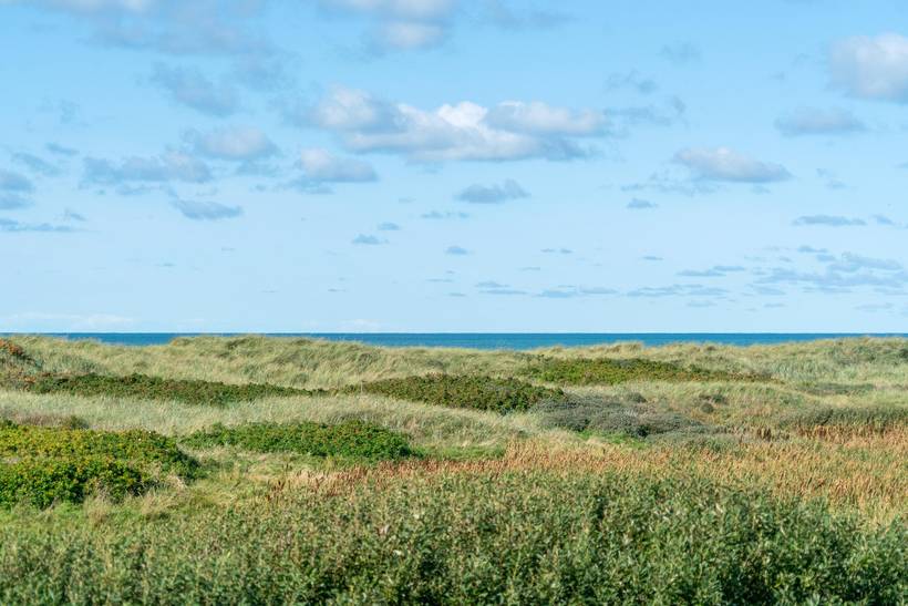 Foto von Ferienhaus OO15 in Grønhøj - Løkken - Nordjütland
