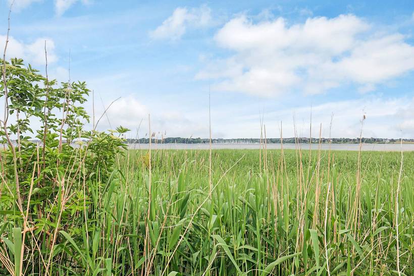 Foto von Ferienhaus OO66 auf Overdråby - Nordseeland