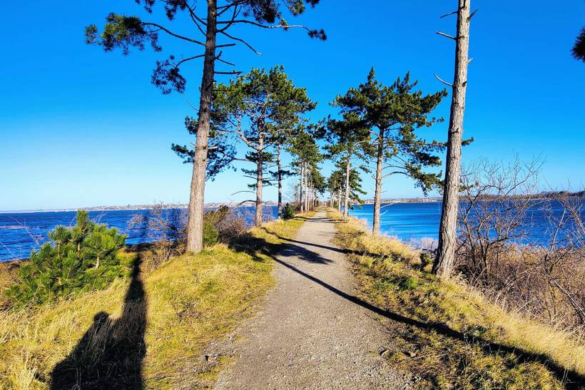 Foto von Ferienhaus OO66 auf Overdråby - Nordseeland