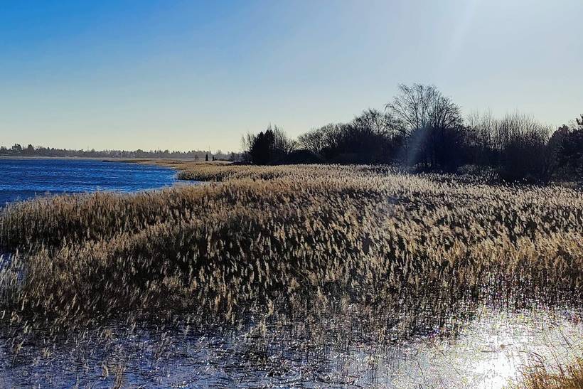 Foto von Ferienhaus OO66 auf Overdråby - Nordseeland