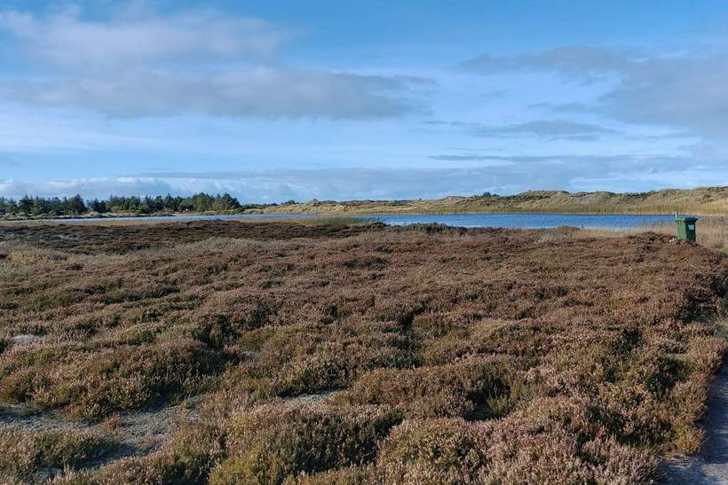 Foto von Ferienhaus OO80 in Grærup - Vejers Strand - Westjütland