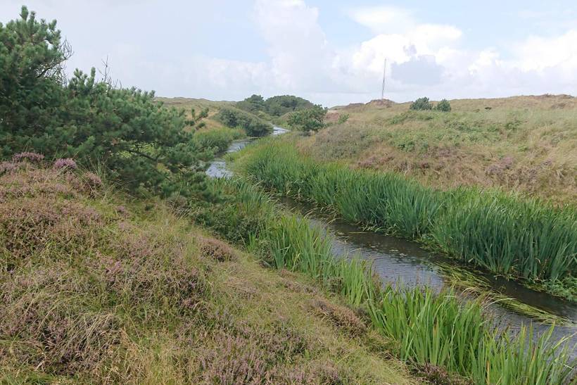 Foto von Ferienhaus OO80 in Grærup - Vejers Strand - Westjütland