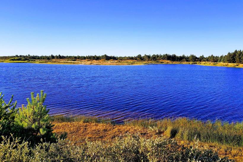 Foto von Ferienhaus OO80 in Grærup - Vejers Strand - Westjütland