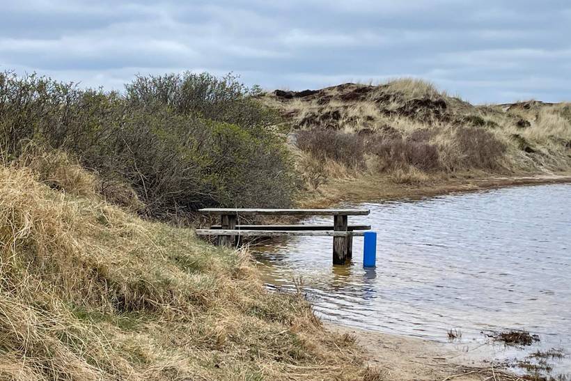 Foto von Ferienhaus OO80 in Grærup - Vejers Strand - Westjütland