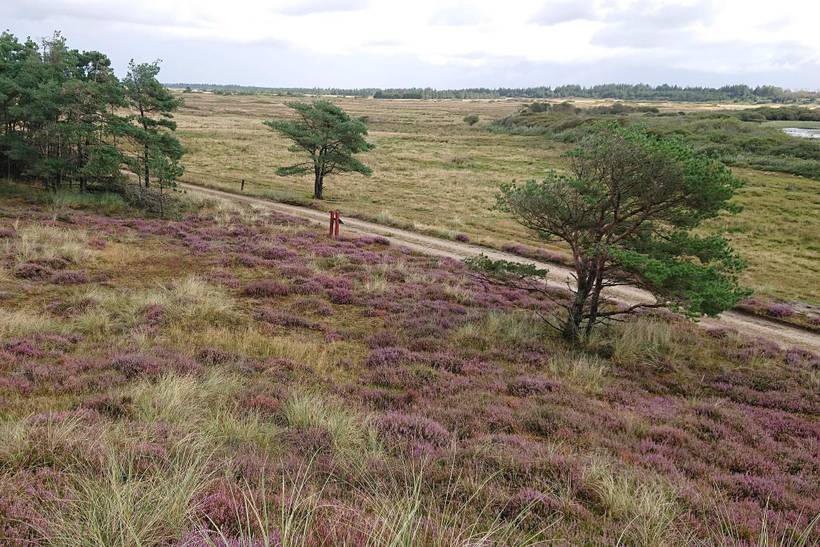 Foto von Ferienhaus OO80 in Grærup - Vejers Strand - Westjütland