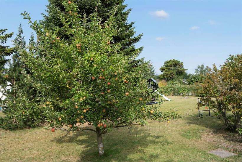 Foto von Ferienhaus OP36 in Marielyst - Falster
