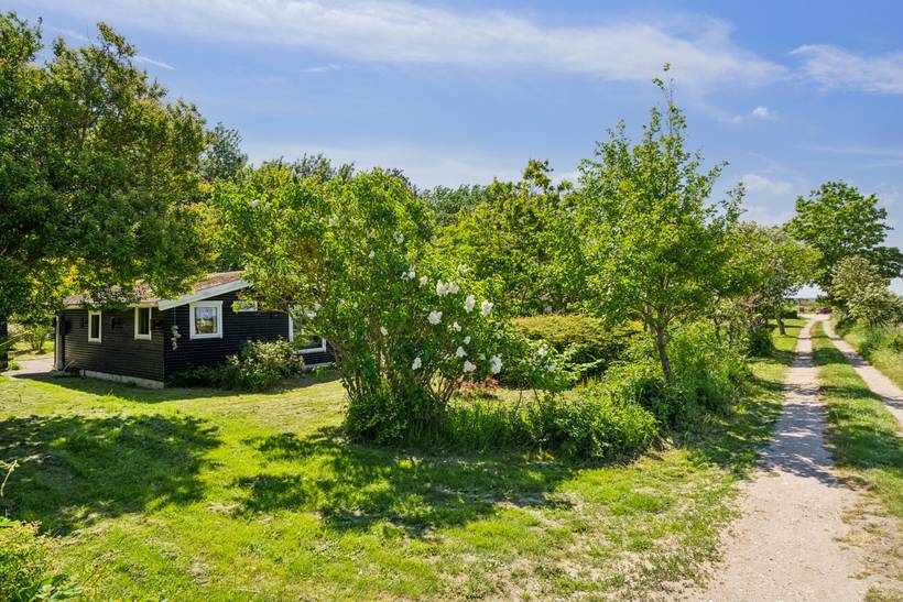 Foto von Ferienhaus OP51 in Ristinge - Langeland