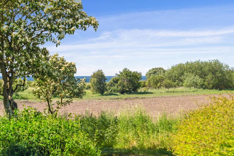Foto von Ferienhaus OP51 in Ristinge - Langeland