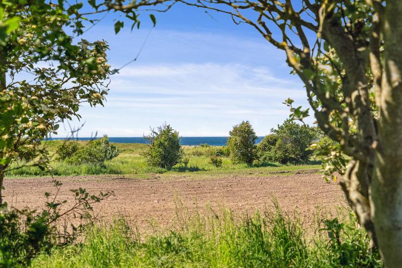 Foto von Ferienhaus OP51 in Ristinge - Langeland