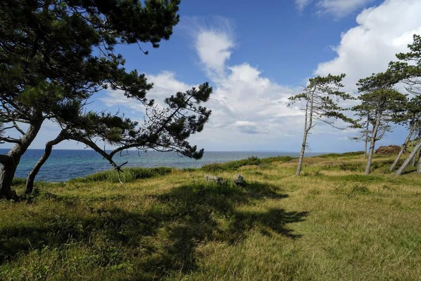 Foto von Ferienhaus OP96 in Gilleleje - Nordseeland