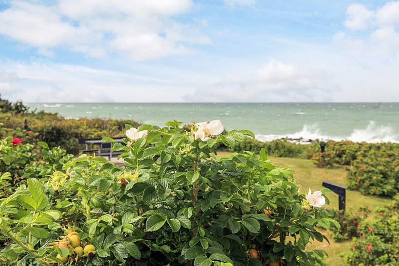 Foto von Ferienhaus OP96 in Gilleleje - Nordseeland