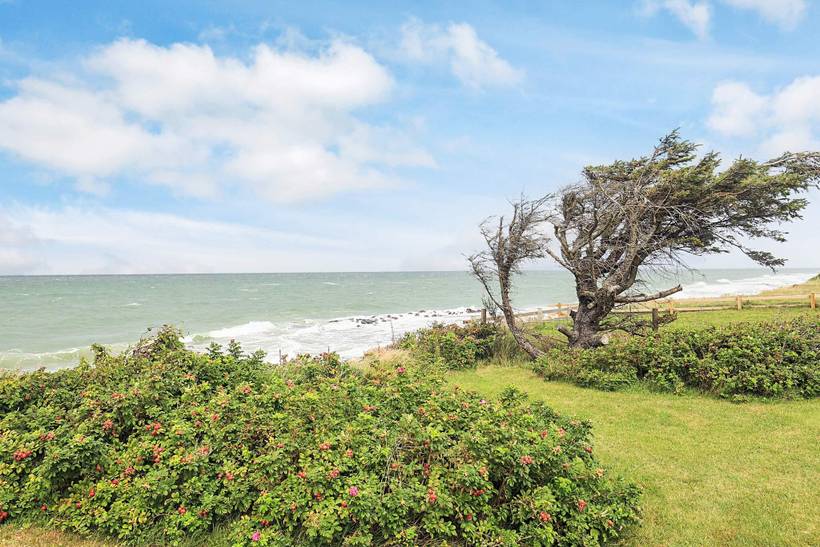 Foto von Ferienhaus OP96 in Gilleleje - Nordseeland