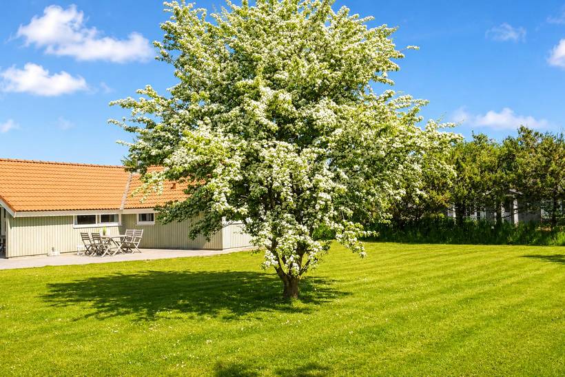 Foto von Ferienhaus OQ20 in Jegum - Westjütland