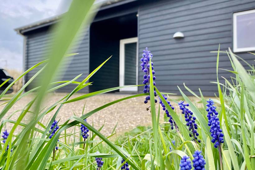 Foto von Ferienhaus OQ39 in Årgab - Westjütland
