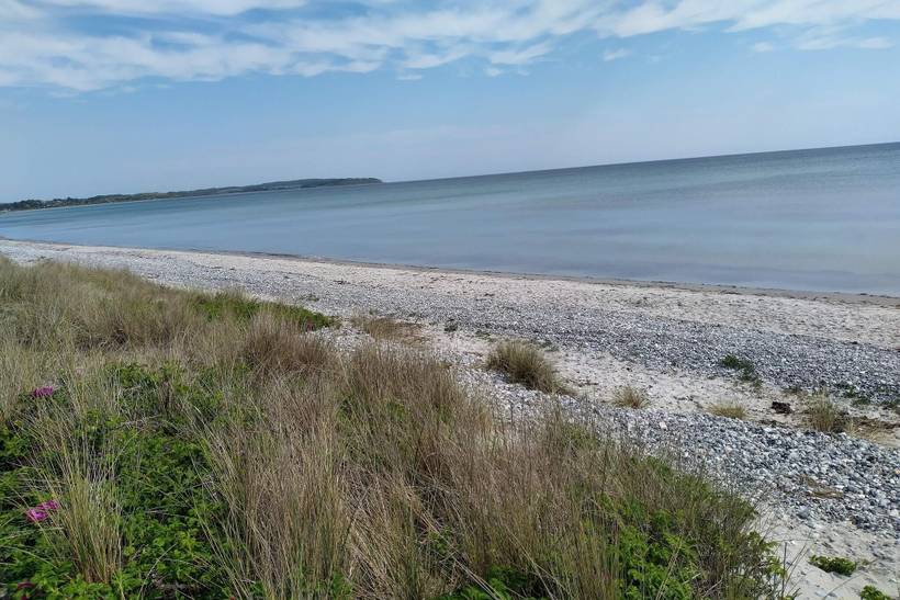 Foto von Ferienhaus OQ46 in Ebeltoft - Ostjütland