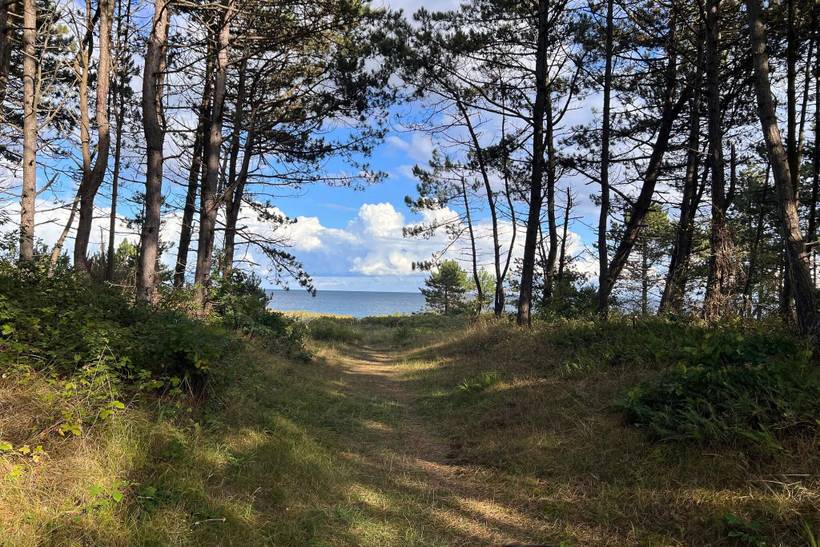 Foto von Ferienhaus OQ46 in Ebeltoft - Ostjütland