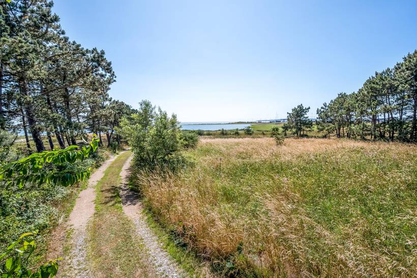 Foto von Ferienhaus OQ55 in Øer - Ebeltoft - Ostjütland