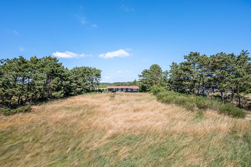 Foto von Ferienhaus OQ55 in Øer - Ebeltoft - Ostjütland
