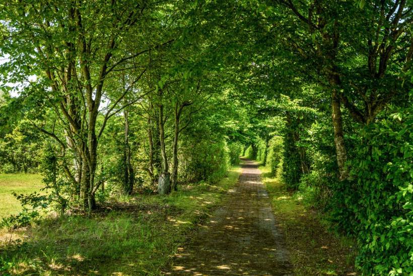 Foto von Ferienhaus OS64 in Bryrup - Ostjütland
