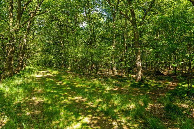 Foto von Ferienhaus OS64 in Bryrup - Ostjütland