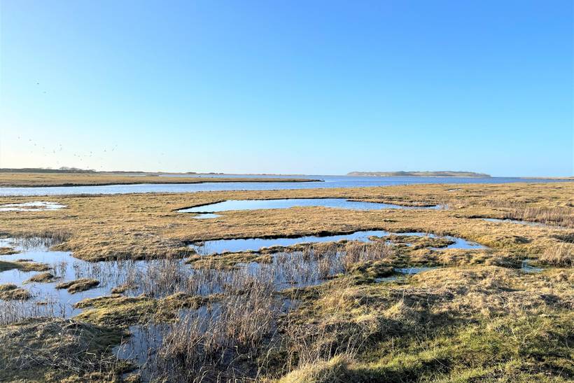 Foto von Ferienhaus OS69 in Sejerø Bugt - Westseeland