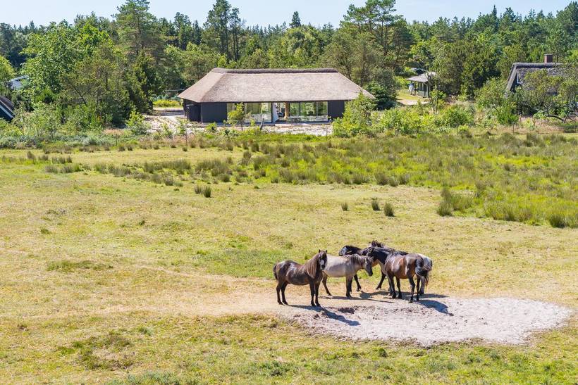 Foto von Ferienhaus OT04 in Houstrup - Westjütland