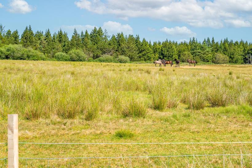 Foto von Ferienhaus OT04 in Houstrup - Westjütland