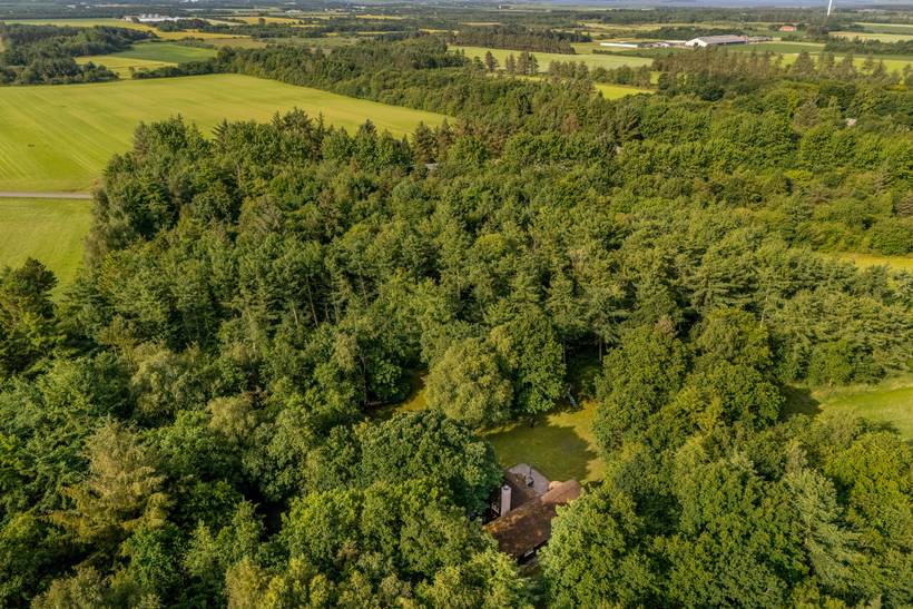 Foto von Ferienhaus OT14 in Vester Husby - Westjütland