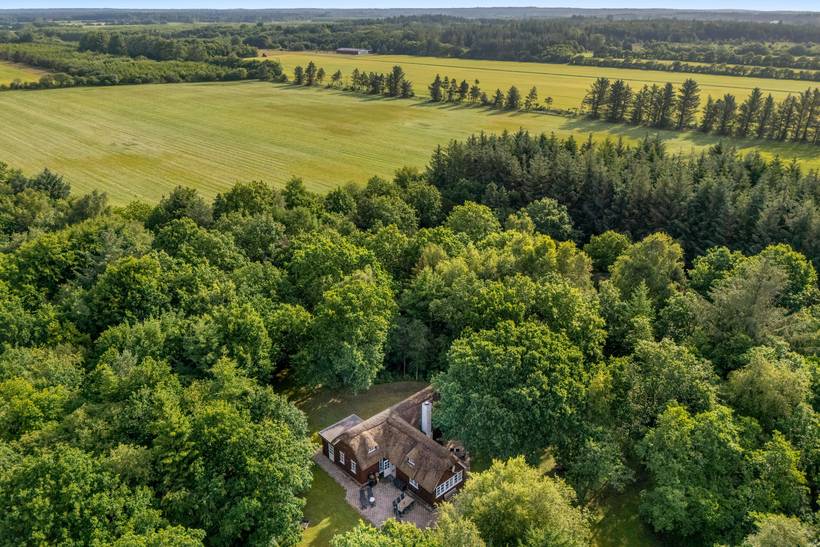 Foto von Ferienhaus OT14 in Vester Husby - Westjütland