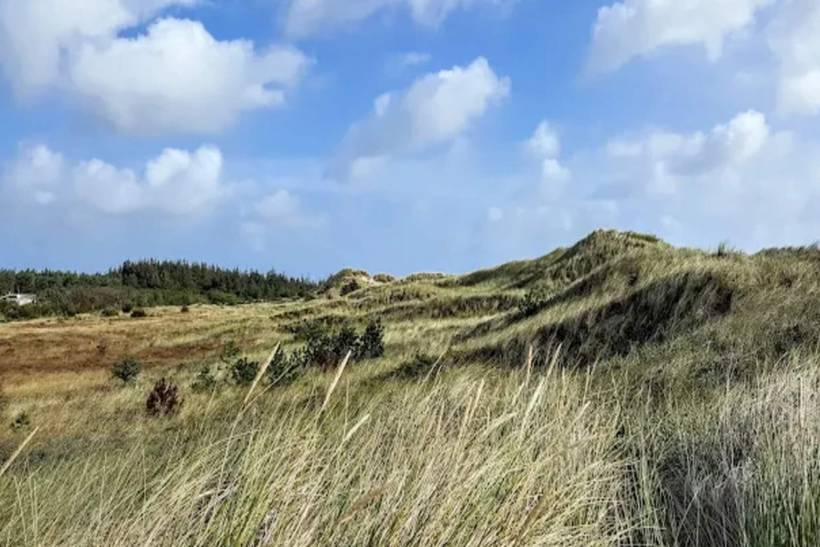 Foto von Ferienhaus OT15 in Ålbæk - Nordjütland Ost