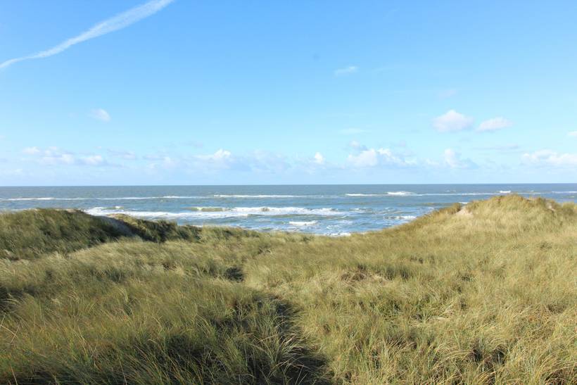 Foto von Ferienhaus OT35 in Nr. Lyngvig - Hvide Sande - Westjütland