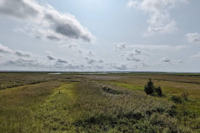 Foto von Ferienhaus OU74 in Nørhede - Fjand - Westjütland
