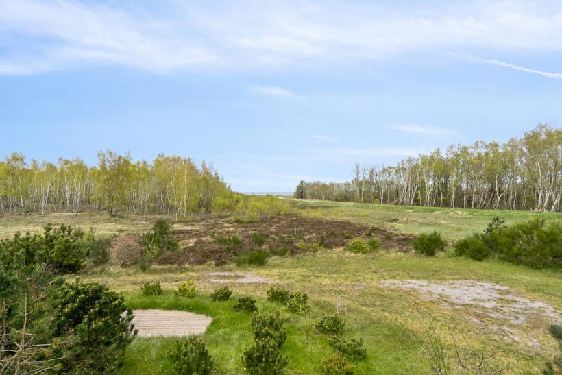 Foto von Ferienhaus OU95 in Gjerrild - Ostjütland