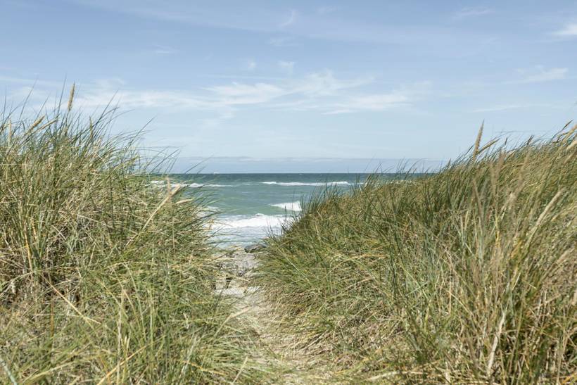 Foto von Ferienhaus OX07 in Nørlev - Lønstrup - Nordjütland