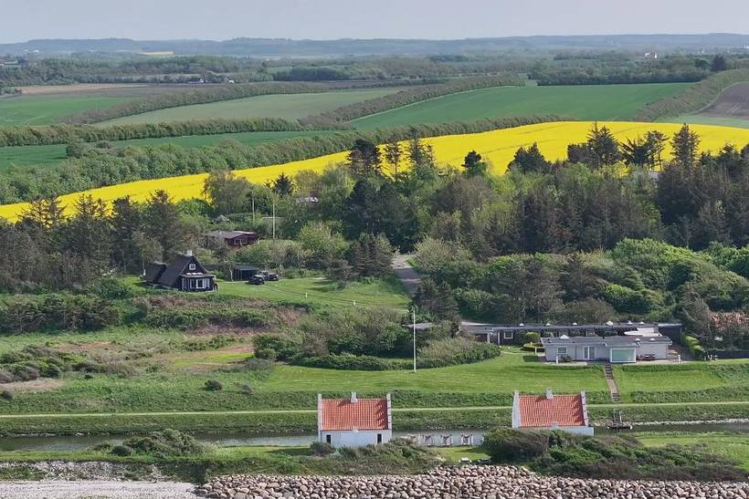 Foto von Ferienhaus OX33 in Lendrup - Thy/Limfjord