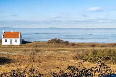 Vorschaubild von Ferienhaus OX33 in Lendrup - Thy/Limfjord