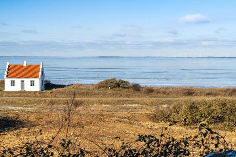 Foto von Ferienhaus OX33 in Lendrup - Thy/Limfjord