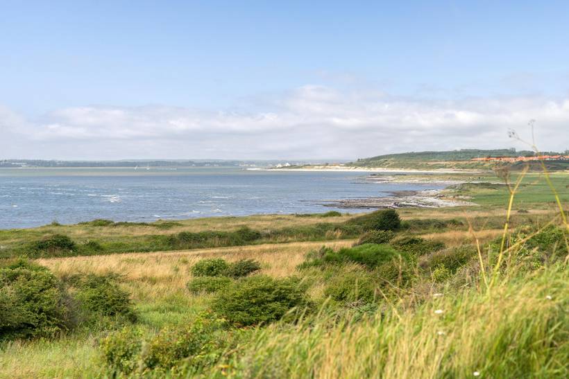 Foto von Ferienhaus OX33 in Lendrup - Thy/Limfjord