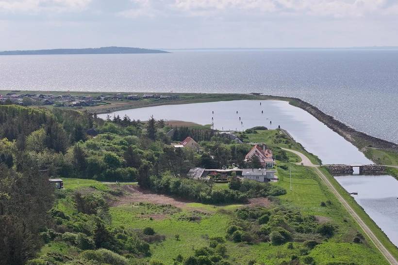 Foto von Ferienhaus OX33 in Lendrup - Thy/Limfjord