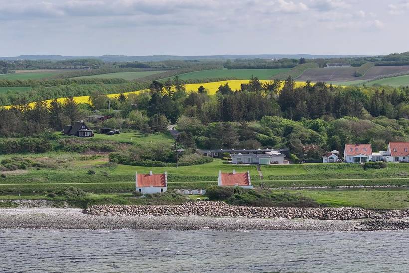 Foto von Ferienhaus OX33 in Lendrup - Thy/Limfjord