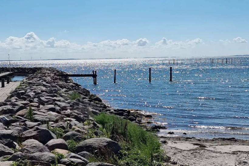 Foto von Ferienhaus OX46 in Spodsbjerg - Langeland