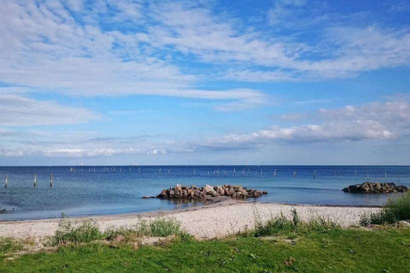 Foto von Ferienhaus OX46 in Spodsbjerg - Langeland