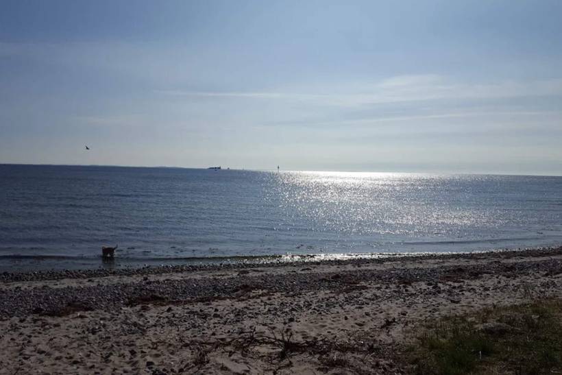 Foto von Ferienhaus OX46 in Spodsbjerg - Langeland